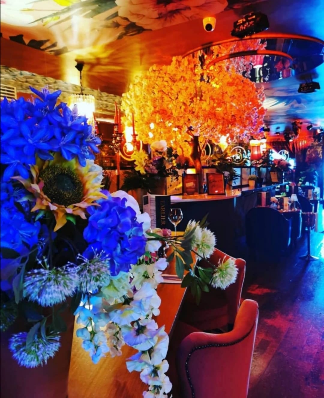 Betsy Corporate Hire 4